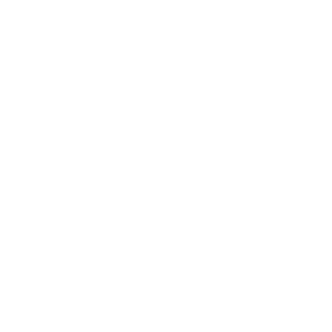 White Lion 500x500_white